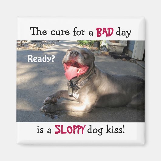 Sloppy Dog Kiss Magnet Magneet (Voorkant)