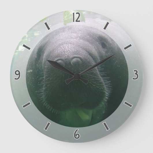 Sloppy Manatee Clock, groot rond Grote Klok (Voorkant)