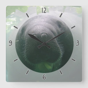 Sloppy Manatee Clock Square Vierkante Klok