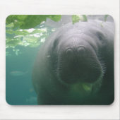 Sloppy Manatee mousepad Muismat (Voorkant)