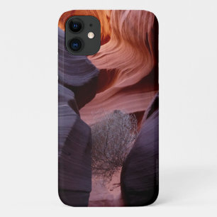 Slot Canyon Tumbleweed Southwest Abstract iPhone 11 Hoesje