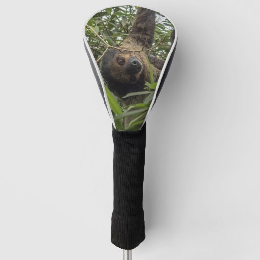 Sloth_2019001 Golfheadcover (Voorkant)