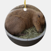 Sloth & Capybara Keramisch Ornament (Achterkant)
