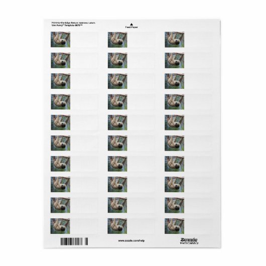 Sloth Étiquettes de adresse (Feuille entière)
