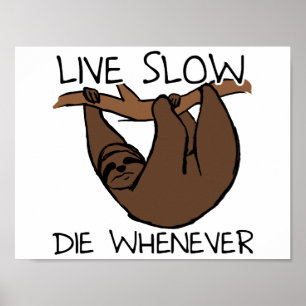 Sloth Live Slow Funny Poster