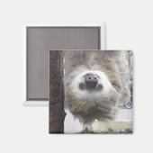 Sloth Magnet Magneet (Voorkant / Achterkant)