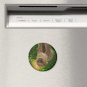 Sloth Magnet Magneet (Insitu (Vaatwasser))