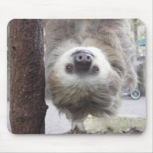 Sloth Mousepad Muismat