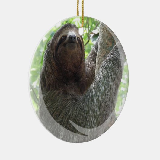 Sloth Ornament (Rechts)