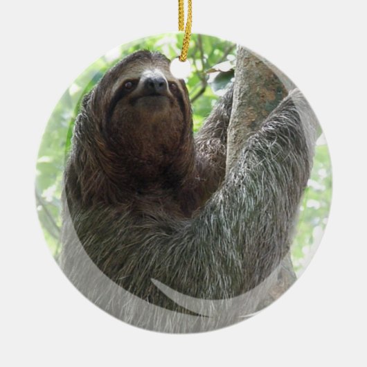 Sloth Ornament (Voorkant)