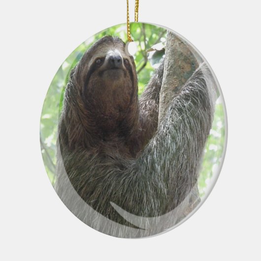 Sloth Ornament (Links)