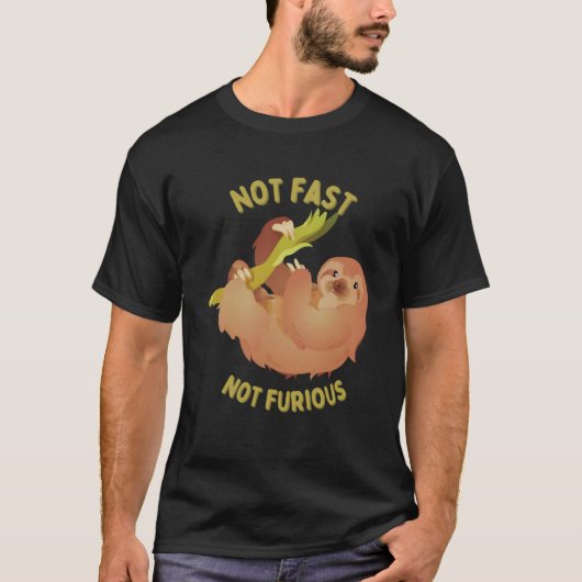 Sloth Pas Rapide, Pas Furieux Sweat - shirt à capu (Devant)