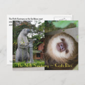 Sloth Sanctuary Briefkaart (Voorkant / Achterkant)