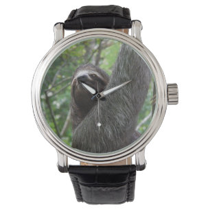 Slotklimboom Horloge