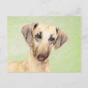 Sloughis Painting - Cute Original Dog Art Briefkaart