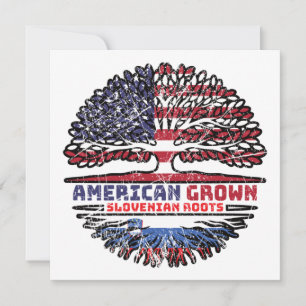 Sloveens - Amerikaans - Verenigde Staten - vlag va Kaart