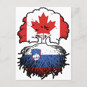 Sloveense Canadese vlag over bomen in Canada Briefkaart