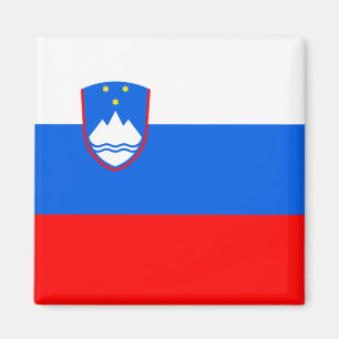 Sloveense vlag magneet
