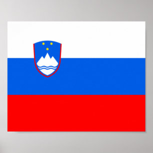 Sloveense vlag poster