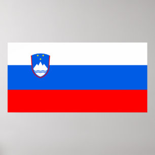 Sloveense vlag poster