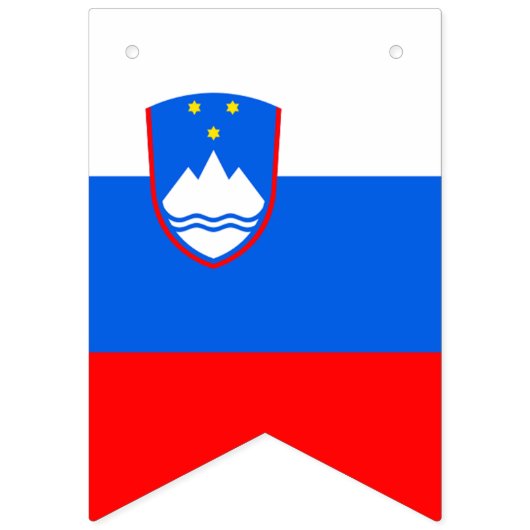 Sloveense vlag vlaggetjes (Derde vlag)