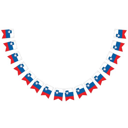 Sloveense vlag vlaggetjes (Alle)