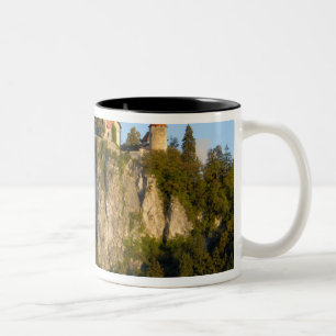 Slovenië, Bled, Meer van Bled, Bled Kasteel op Tweekleurige Koffiemok