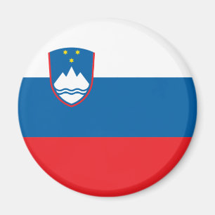 Slovenië Flag Magnet Magneet