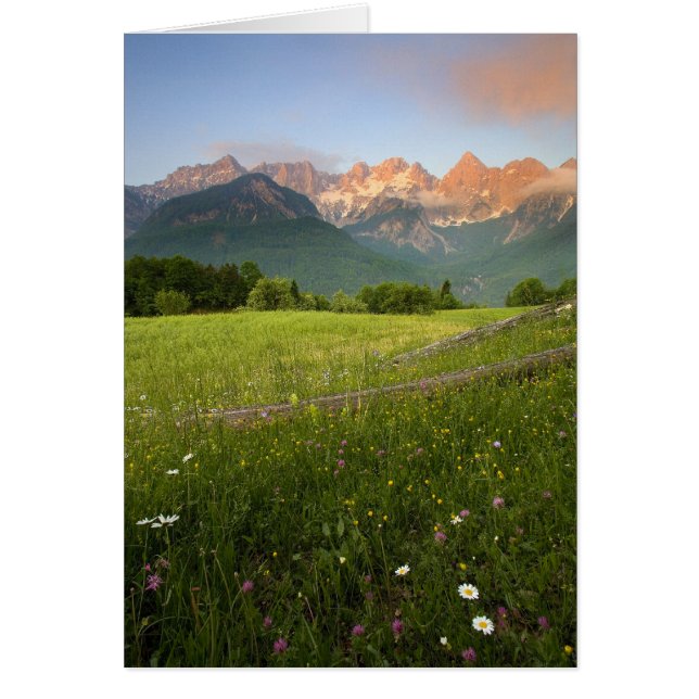 Slovenië Meadow (Voorkant)