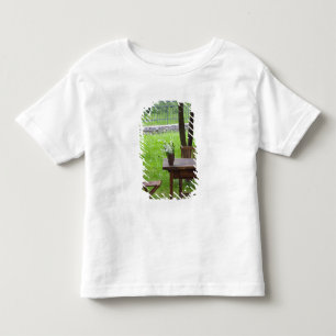 SLOVENIË, PRIMORSKA, Spodnja Idrija: Tafel op Kinder Shirts