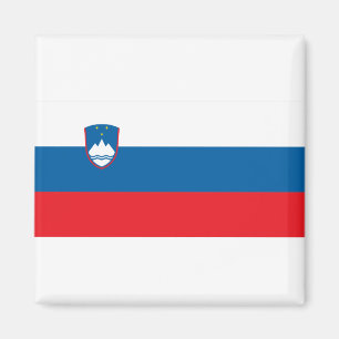 Slovenija - Slovenië Flag Magneet