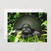 Slow Commando Briefkaart (Voorkant / Achterkant)