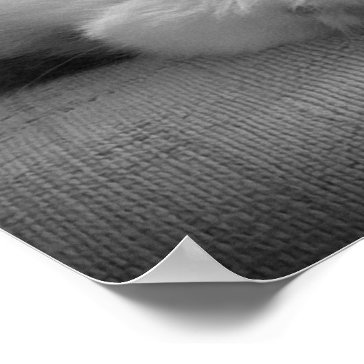 Slow Days, Poster (Hoek)