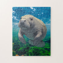 Slow Down en Drift voor Manatee Inspired