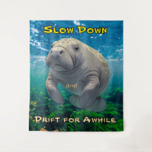Slow Down en Drift voor Manatee Inspired