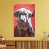 Slowaakse rammeloen canvas afdruk (Insitu (Woonkamer))