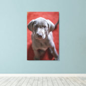 Slowaakse rammeloen canvas afdruk (Insitu (Houten vloer))