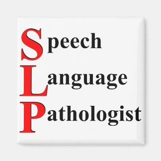SLP MAGNEET
