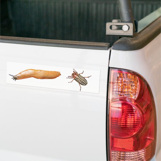 Slug en Bug Bumpersticker (Op Truck)