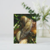 Slugs, Unalaska Island Briefkaart (Staand voorkant)