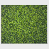 Sluit Bright Green Hedge op Cadeaupapier (Vlak)