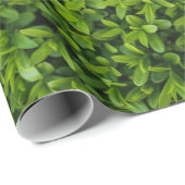 Sluit Bright Green Hedge op Cadeaupapier (Rol Hoek)