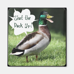 Sluit de Duck Up Magnet Magneet