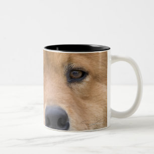 Sluit de hond van de hond van de verstikkingsmix b tweekleurige koffiemok