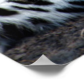 Sluit de leopard-portret af. poster (Hoek)