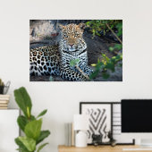 Sluit de leopard-portret af. poster (Thuiskantoor)