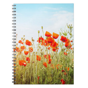 Sluit poppies op het veld. Wilde bloemen in de len Notitieboek