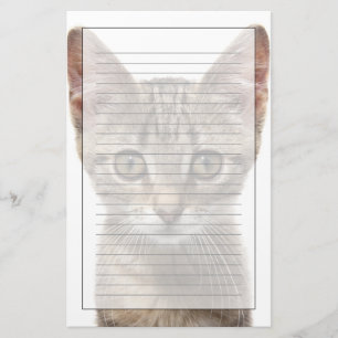 Sluit portret van een kitten af briefpapier