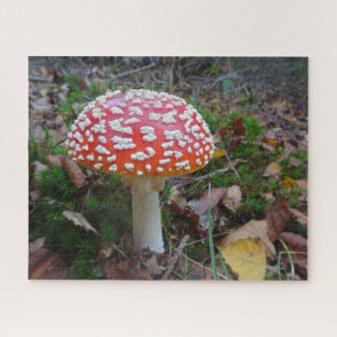 Sluit Puzzle af: Cute Fly Amanita Legpuzzel