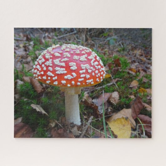 Sluit Puzzle af: Cute Fly Amanita Legpuzzel (Horizontaal)